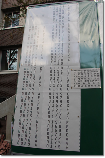 2013年京都大学農学部合格発表