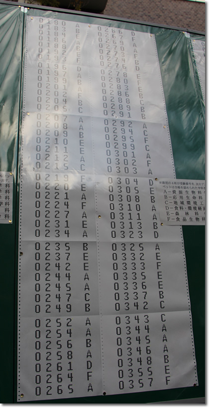 2013年京都大学農学部合格発表