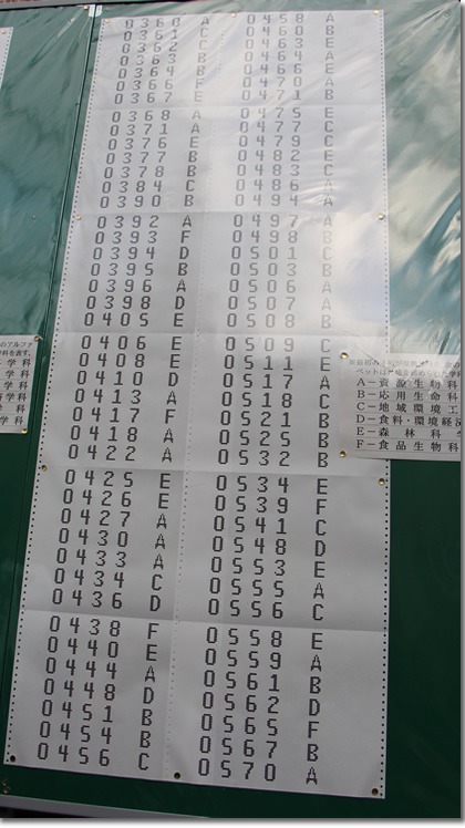 2013年京都大学農学部合格発表