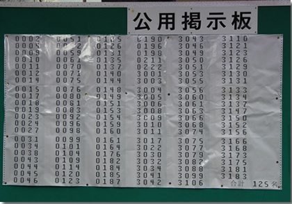 2013年京都大学総合人間学部合格発表