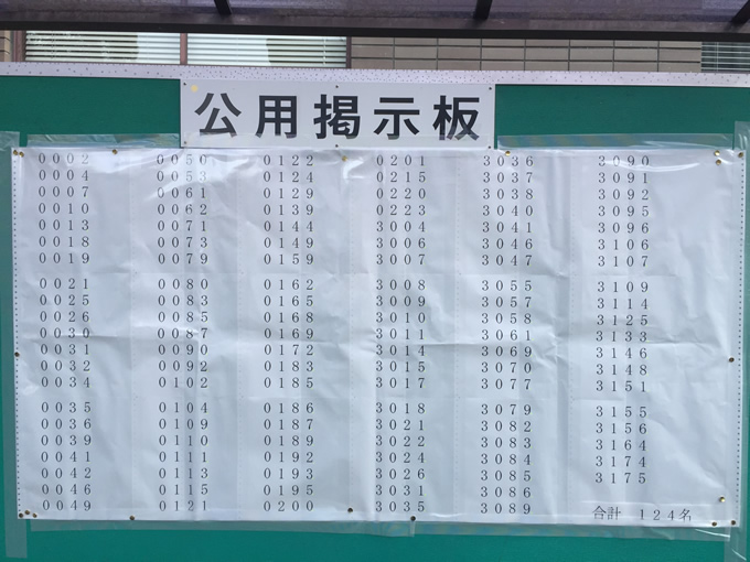 2015ss.jpg