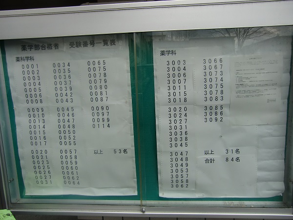 2017薬学部.jpg